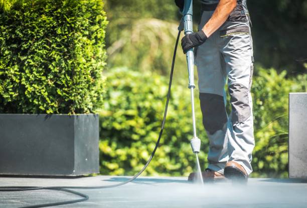 Best Building Exterior Washing  in Lonville, GA